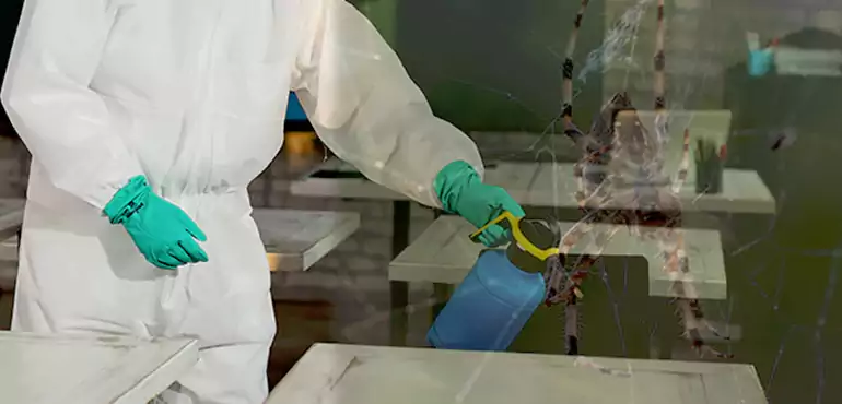 Why Buyers Still Want Homes With Pest Infestations in Phoenix, AZ?