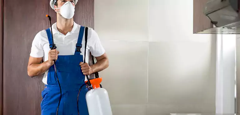 Why Phoenix Homeowners Choose Us When Pests Make Selling Difficult
