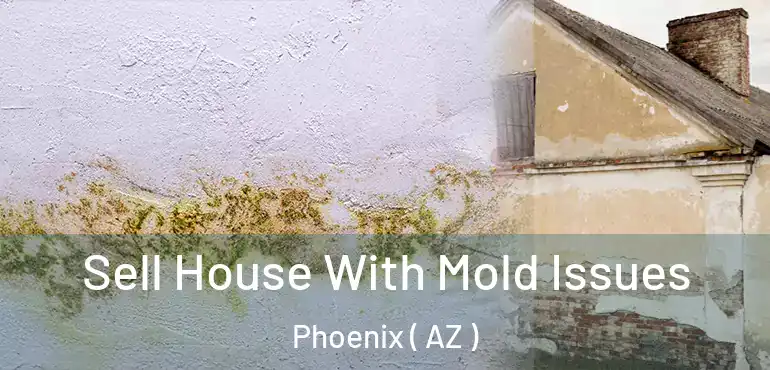  Sell House With Mold Issues Phoenix ( AZ )